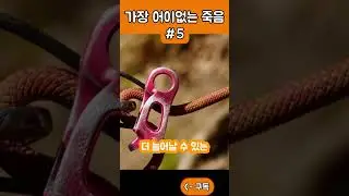 역사상 가장 어이없는 죽음 part5 #shorts