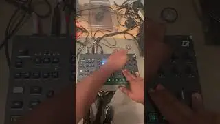 Octatrack: Early Morning 