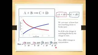 Intro to Kinetics (week 10)