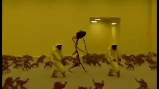 Флексим в закулисье с крабами