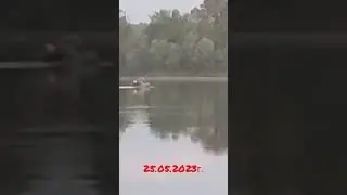 Без палева 
