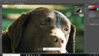 Topaz Jpg to RAW AI Demo