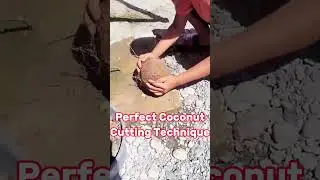 Perfect Coconut Cutting Technique