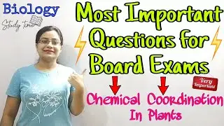 Most Important Questions| Chemical Coordination in plants| ICSE 