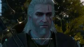 The Witcher 3 вступился за тёлку а она...