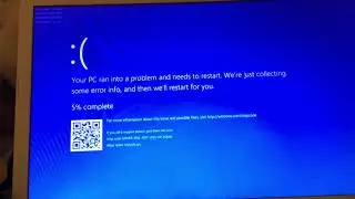Computer says Avril Lavigne (BSOD)