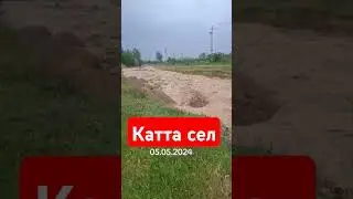 5 мая 2024 г.