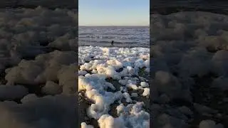 Розовое Озеро Сасык-Сиваш 