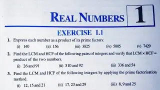 Class 10th Real Number Ex 1.1 Math CBSE NCERT
