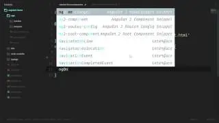 [Angular 2+ Forms and Validation] Lesson8   Reactive Form Foundation