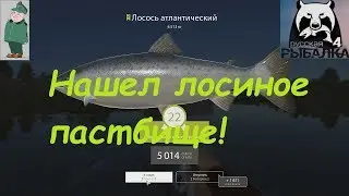 Русская рыбалка 4. Спиннинг на Волхове с лодки после патча. Отличное место с лососем.