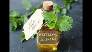 How to make Nettle oil