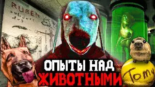 В ЭТОЙ КЛИНИКЕ ПРОВОДЯТ ОПЫТЫ НАД ЖИВОТНЫМИ И ЛЮДЬМИ 🐕 - Canine
