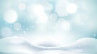 Glistening Snowfall