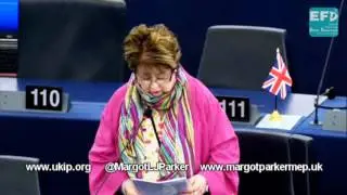 Harmonisation of EU standards puts UK product quality at risk - Margot Parker MEP