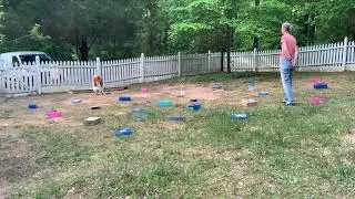 Willa variety containers mega search