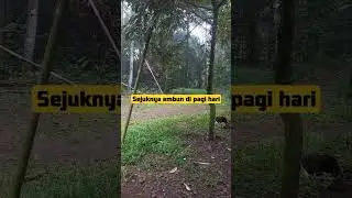 #reel #reels #reelsvideo #shortvideo #shortsvideo