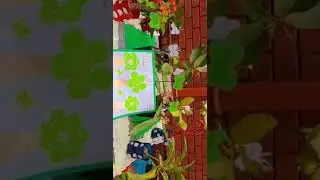 Trees Plants collection project #botanywithyoutube