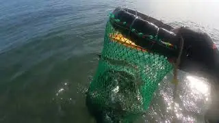 BARRACUDA SA GILID LANG #narrapalawan