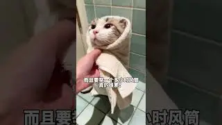 谁懂!皮皮洗澡用上过慢烘干箱!终于解放双手了!#霍曼烘干箱#烘干松弛派暖暖享自在