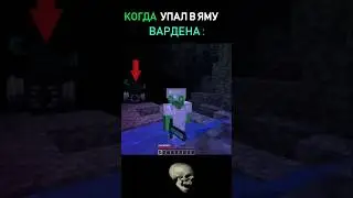 😱Когда упал в яму ВАРДЕНА #Shorts #minecraft #майнкрафт #trending #viral #meme #funny #fyp