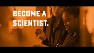School of Life Sciences and the Environment
