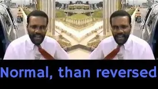 The 