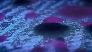 Bacteria Time Lapse