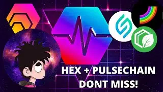 Confronting HEX Analyst Gerardo About HEX, PulseChain, Mintra, Staker App, and More!