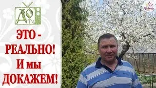 ИСТОРИЯ ПРИВИВОК на ПЛОДОВЫЕ ДЕРЕВЬЯ / Развеиваем МИФЫ