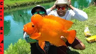 FISHING for MUTANT GIANT RIVER CHICKEN! **Not ClickBait**