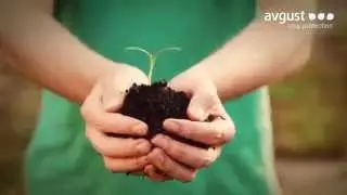 Компания 