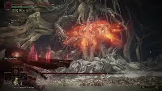 I am Malenia, Blade of Miquella.
