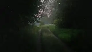 архивный материал с canon-а