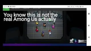 An Offline AMONG US Gamplay (Link in description)