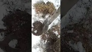 открытие копа! всех с Новым Годом!
