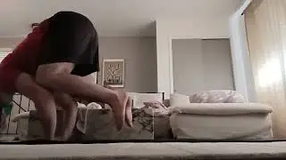 crow to chaturanga