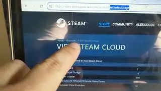 Steam cloud storage local directory for Windows.  In case you need the save game files to transfer.