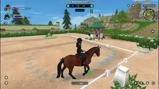 jorvik dressage mastery