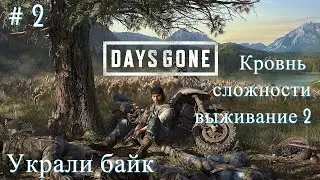 Прохождение ► Days Gone  #2