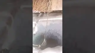 первые впечатления о деревне в Тюмени 
