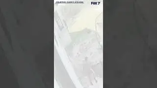 Man with machete attempts to break into home; homeowner confronts him with gun | FOX 7 Austin