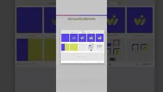 Create Motion Graphics with Zero Experience 