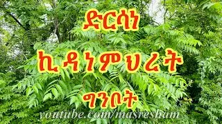 ድርሳነ ኪዳነምህረት ግንቦት - Dirsane Kidanemihret Ginbot