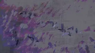 midxna - still out there