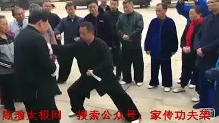 最新视频！首次公开！陈瑜老师2017年讲庇身捶进阶