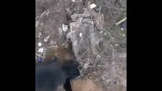 Z trench clearing nzis
