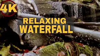 Close Up View Of Water Flowing Through Rocks And Logs | Copyright Free 4K UHD