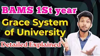 How does the GRACE SYSTEM work in BAMS First Year?