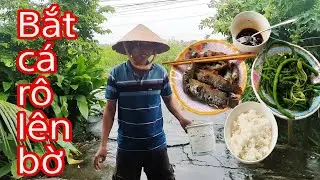 Cá tự bơi lên bờ_Cá chiên xù, rau luộc cực hấp dẫn
